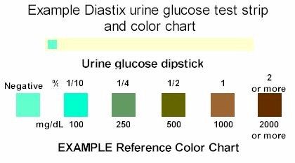 urine colour chart diabetes